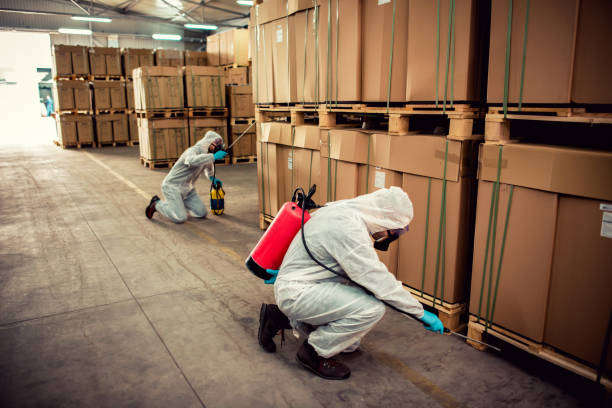 Best Pest Inspection Near Me  in Forks, WA