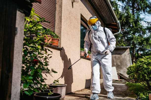 Best Pest Control Near Me  in Forks, WA