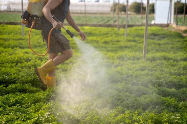 Best Pest Control Near Me  in Forks, WA