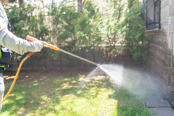 Best Affordable Pest Control Services  in Forks, WA