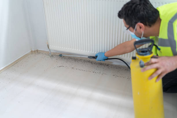 Pest Prevention Services in Forks, WA