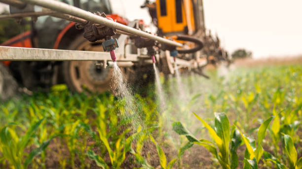 Best Mosquito Control Services  in Forks, WA